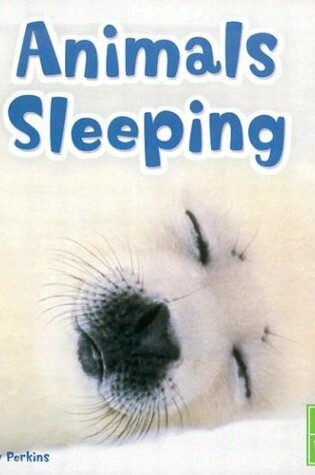 Cover of Animals Sleeping