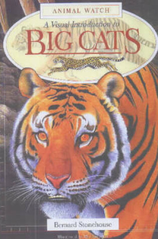 Cover of A Visual Introduction to Big Cats