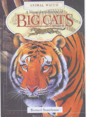 Book cover for A Visual Introduction to Big Cats