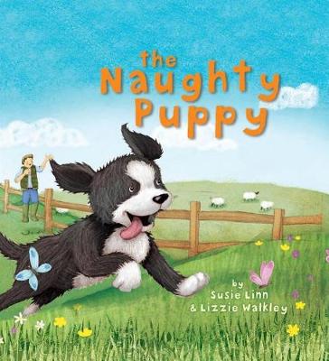 Book cover for The Naughty Puppy Fidget