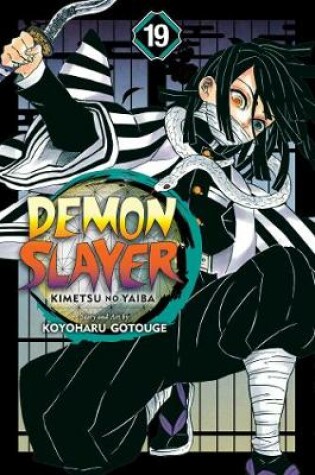 Cover of Demon Slayer: Kimetsu no Yaiba, Vol. 19