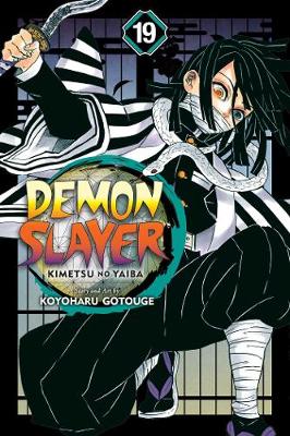 Book cover for Demon Slayer: Kimetsu no Yaiba, Vol. 19