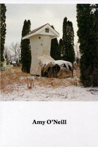 Cover of Amy O'Neill