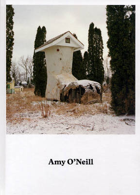 Book cover for Amy O'Neill