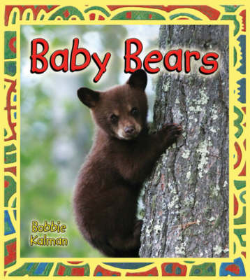 Book cover for Baby Bears