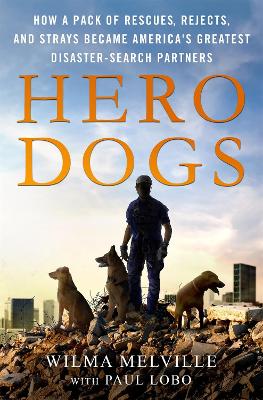 Book cover for Hero Dogs