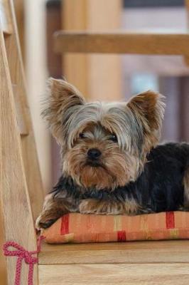 Book cover for Yorkshire Terrier in Her Favorite Chair Journal