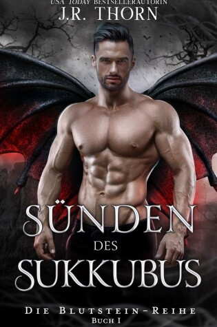 Cover of Sunden des Sukkubus