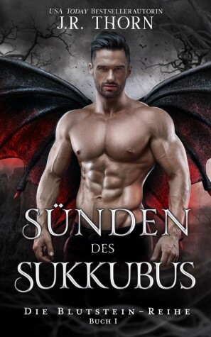 Book cover for Sunden des Sukkubus