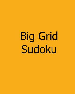 Book cover for Big Grid Sudoku
