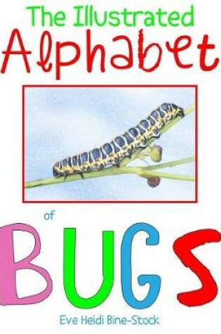 Cover of The Illustrated Alphabet of Bugs