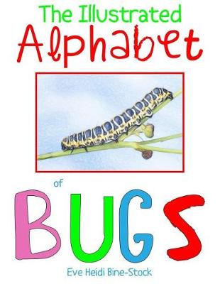 Book cover for The Illustrated Alphabet of Bugs