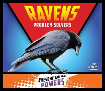 Cover of Ravens: Problem Solvers