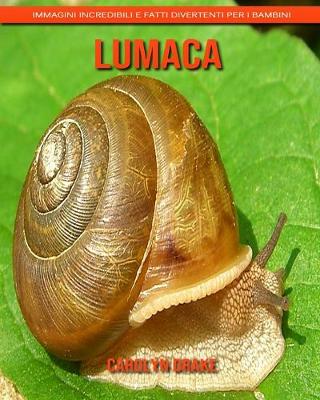 Book cover for Lumaca