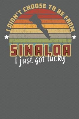 Book cover for I Didn't Choose to Be From Sinaloa I Just Got Lucky