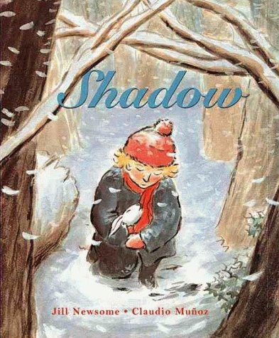 Book cover for Shadow