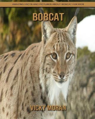 Book cover for Bobcat