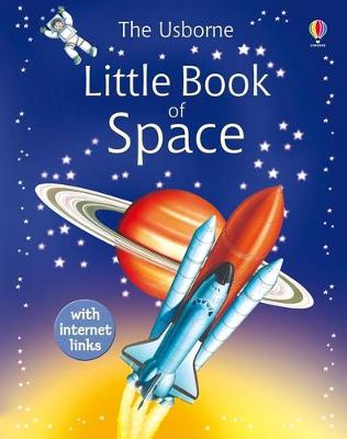 Book cover for Little Book of Space