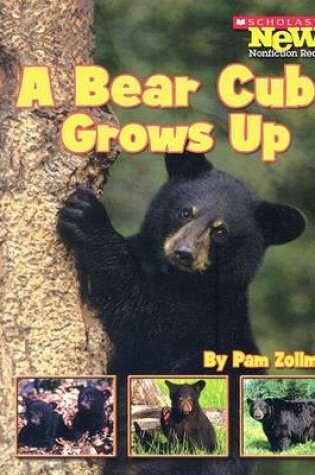 Cover of A Bear Cub Grows Up