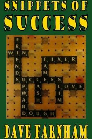 Cover of Snippets Of Success