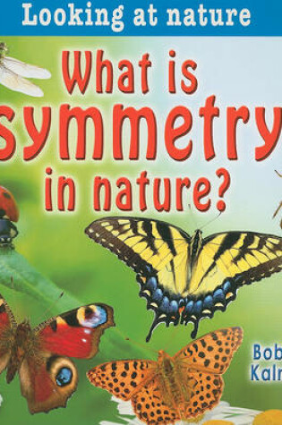 Cover of What is symmetry in nature?
