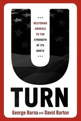 Book cover for U-Turn