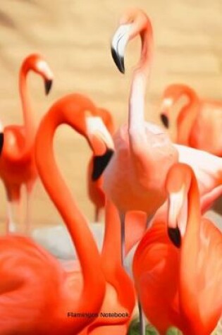 Cover of Flamingos Notebook