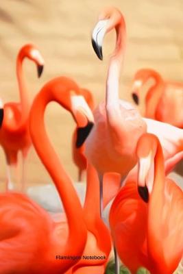 Book cover for Flamingos Notebook