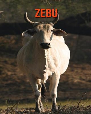 Book cover for Zebu