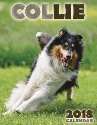 Book cover for Collie 2018 Calendar