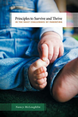 Cover of Principles to Survive and Thrive in the Daily Challenges of Parenting