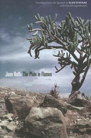 Cover of The Plain in Flames