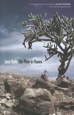 Book cover for The Plain in Flames
