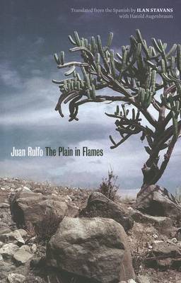 Cover of The Plain in Flames