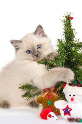 Book cover for A Cute Kitten Holding Her Christmas Tree