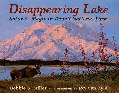 Book cover for Disappearing Lake