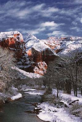 Book cover for The Virgin River in Zion National Park