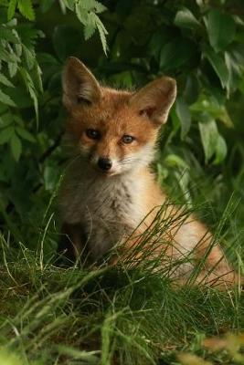 Book cover for Blank Journal - Baby Fox in the Forest