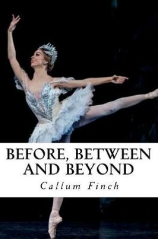 Cover of Before, Between and Beyond