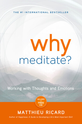 Book cover for Why Meditate