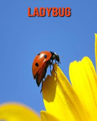 Book cover for Ladybug