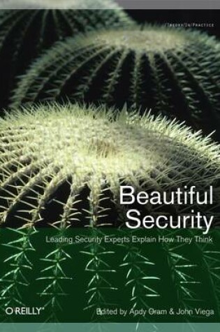 Cover of Beautiful Security