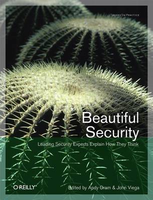 Book cover for Beautiful Security