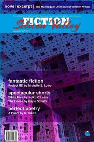 Cover of Fiction Silicon Valley