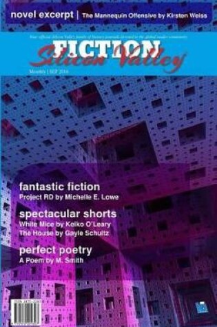 Cover of FICTION Silicon Valley