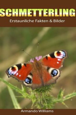 Cover of Schmetterling