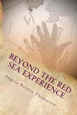 Book cover for Beyond The Red Sea Experience