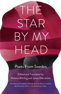 Book cover for The Star by My Head