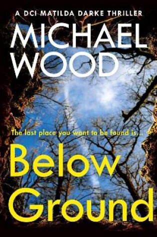 Cover of Below Ground