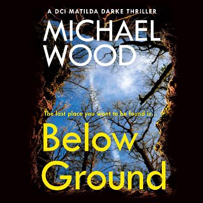 Book cover for Below Ground
